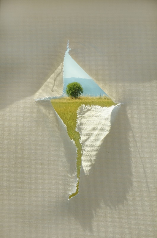 Artabia