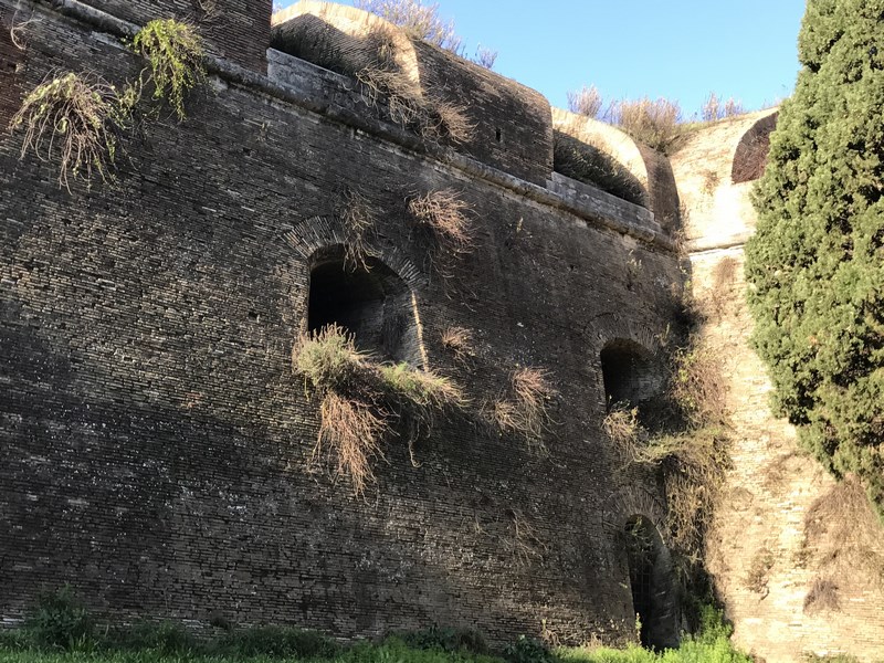 mura-16