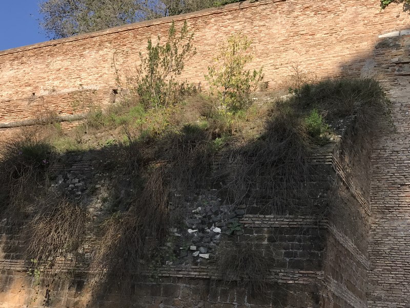 mura-18