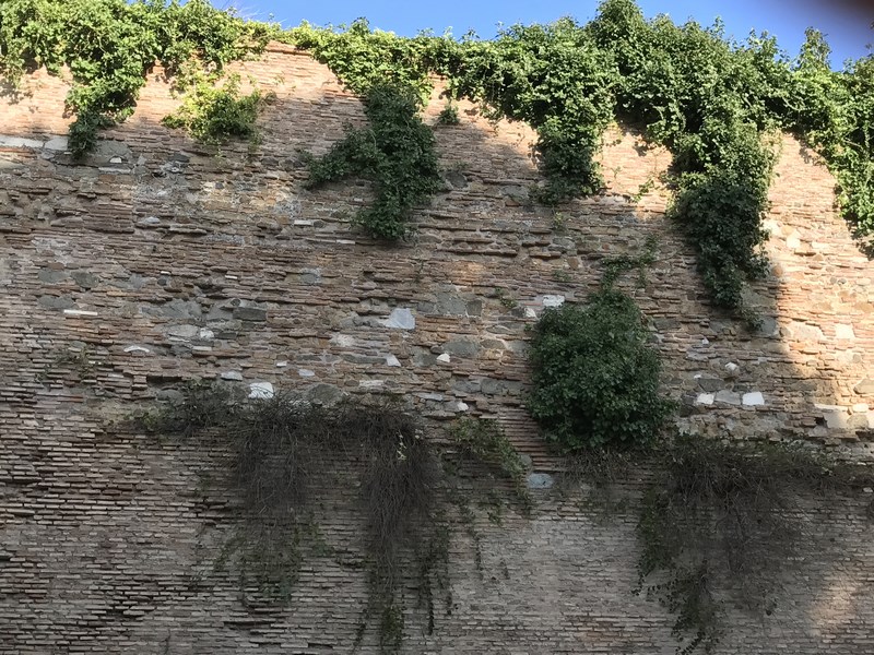 mura-19