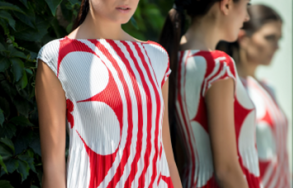 img-300x219