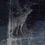 2017_Anmla (flashlights)_40x40