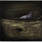 Giusepe Marinelli, quando la pittura è pelle di serpente