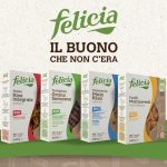 banner_il giornale off-1