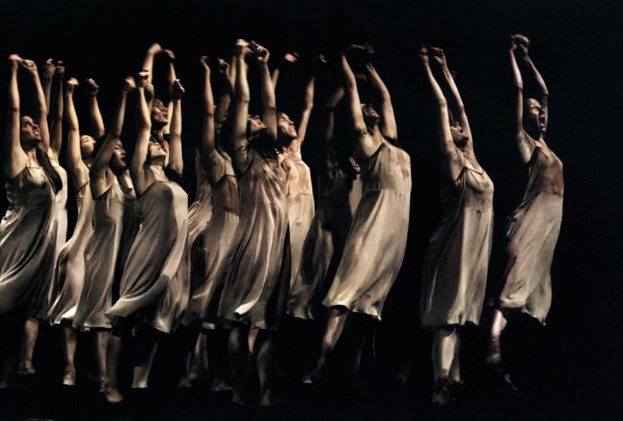 Il mito di Pina Bausch al Margutta Veggy Food & Art