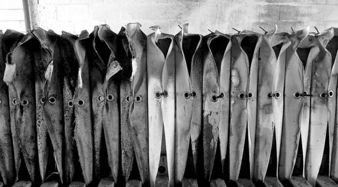 “Il linguaggio nudo” di Massimo Arrigoni, chirurgo del corpo poetico "Il linguaggio nudo" di Massimo Arrigoni, chirurgo del corpo poetico