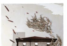 Evaristo Petrocchi, “Uno sguardo sul mondo” Evaristo Petrocchi espone la mostra "“Uno sguardo sul mondo"