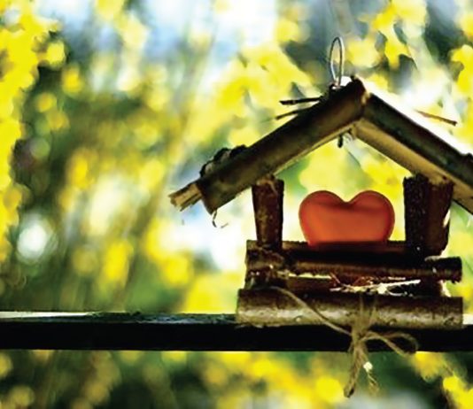 Ambiente, felicità, benessere : un mantra