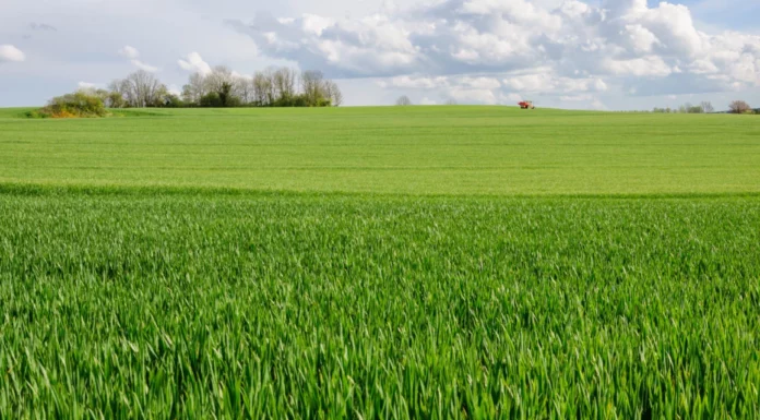 Carlo Martino (Confapi): “Per la mobilità sostenibile idrogeno verde a prezzi convenienti”