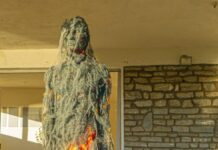 Francesco Diluca: la combustione di un’opera. Post Fata Resurgo