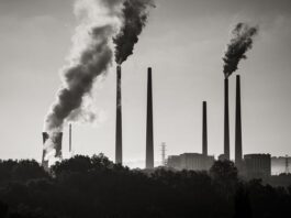 Malattie emergenti da fattori ambientali