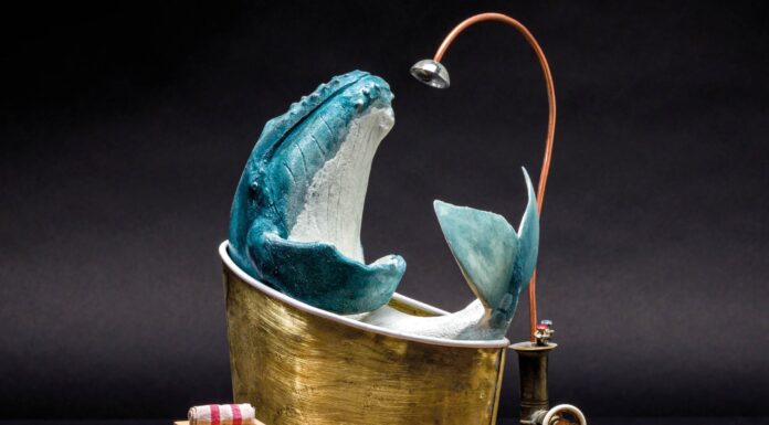 Le meraviglie sottomarine di Stefano Prina all’Acquario di Milano