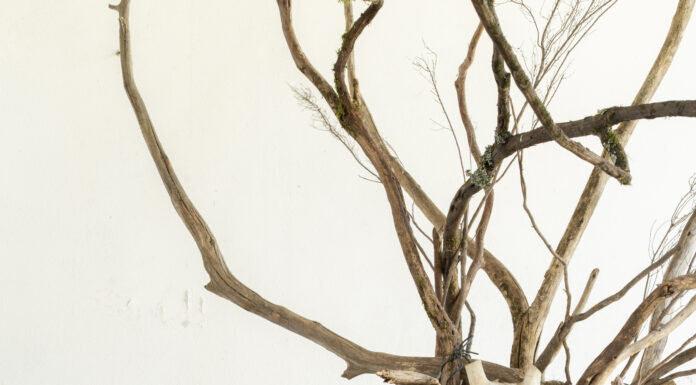 Tra Arcimboldo e il jazz, la natura rivive nelle sculture di Massarutto