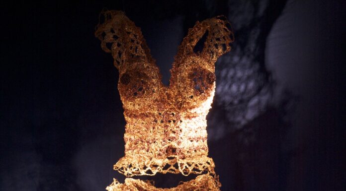 Nei “Mondi sommersi” di Resi Girardello all’Acquario di Milano Nei "Mondi sommersi" di Resi Girardello all'Acquario di Milano