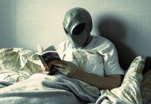 L’ultimo respiro di Hui: quando un umanoide ci spiega cos’è l’anima